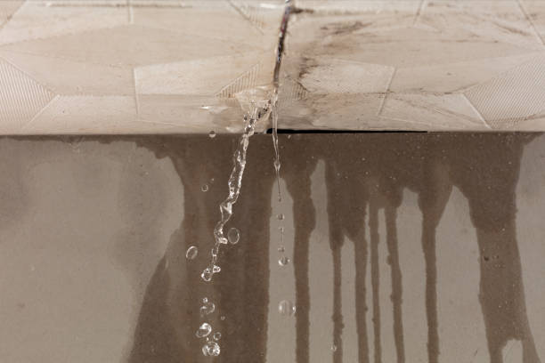 Professional Structural Drying technician working in Jarrell, TX